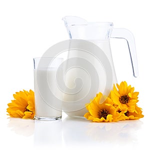 Jug and Glass of fresh milk and yellow flowers
