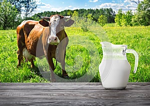 Jug of milk against the beautiful brown cow