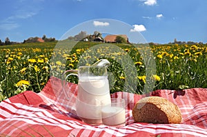 Jug of milk and bread