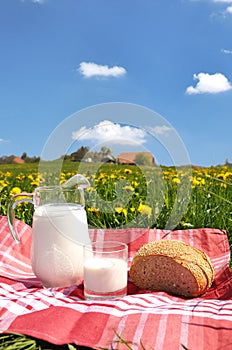 Jug of milk and bread