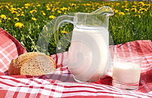 Jug of milk and bread on the spring meadow