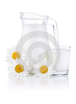 Jug milk, glass and three chamomile flowers