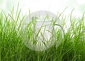 Jug of milk in grass on abstract green background.