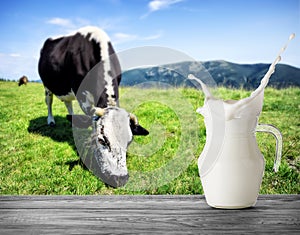 Jug of milk with splash on the background of spotted cow