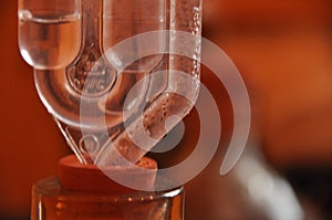 Jug of wine. Production wina.Proces fermentation