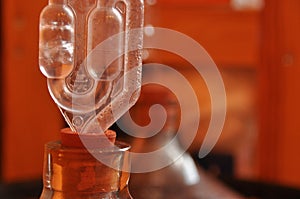 Jug of wine. Production wine. .Process fermentation.