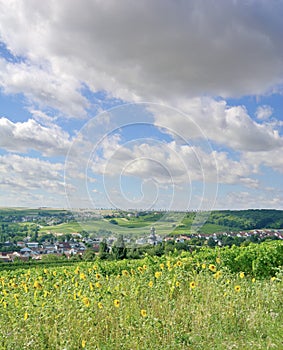 Jugenheim,Rhinehessen,Germany