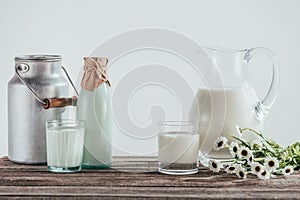 jugs bottle and two glasses of fresh milk with chamomile flowers on shabby