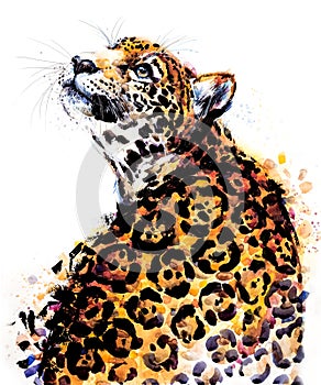 Juguar. tropical wild cat watercolor illustration. Brazilian wildlife fauna.