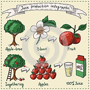 Juice production