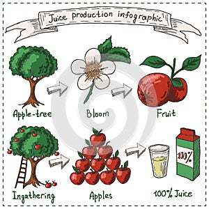 Juice production