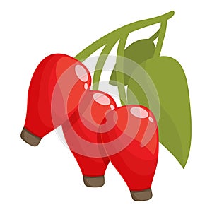 Juice roseship icon cartoon vector. Berry food