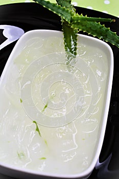 The juice and slime of Aloe vera leaves in the bowl photo