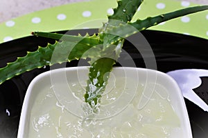 The juice and slime of Aloe vera leaves photo