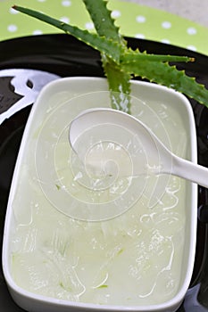 Juice and slime taken from Aloe vera photo