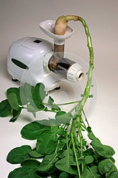 Juicer and Radish