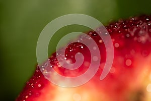 Juicy apple with water drops macro abstract blurred background