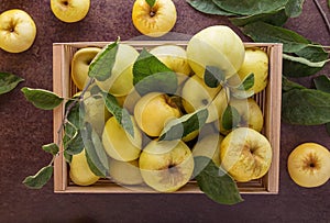 Juicy apples with green branches in a wooden box on dark table