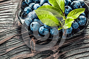 Juicy bilberries on vintage plate