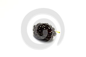 Juicy Black Mulberry Fruits. Mulberry isolated on white background.