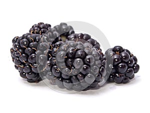 Juicy Blackberries