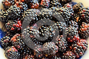 Juicy blackberries on a close-up plate
