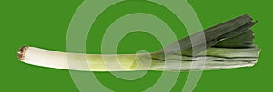 Juicy bright stem of leek. Vitamins, health and nutrition. Isolated on a green, tree frog color background. Panorama format