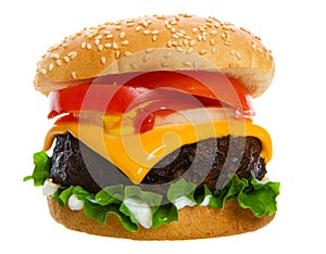 Juicy burger