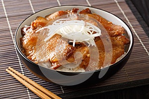 Juicy Butadon Japanese fried pork with rice has a light sweetish taste close-up in a bowl. horizontal photo