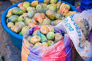 Juicy Cactus for Sale on the Local Market in Asmara