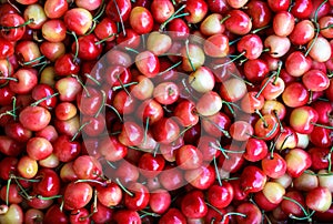 Juicy cherries fruit background, top view.