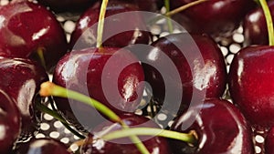 juicy cherries in a metal colander close-up