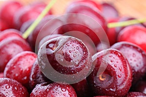 Juicy cherries with moisture drops