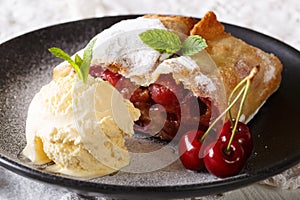 Juicy cherry strudel with vanilla ice cream and mint closeup. ho