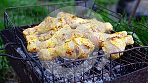 Juicy chicken drumstick grilled on a grid close-up. outdoor cooked food, hearty delicious lunch