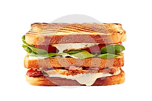 Juicy club sandwich with chicken and bacon on white