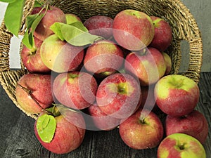 Overflowing basket of red, juicy, delicious apples photo