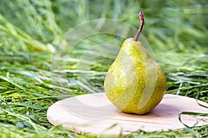 Juicy flavorful pear photo