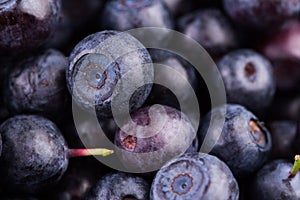 Juicy and fresh blueberries. Blueberry antioxidant. Concept for healthy eating and nutrition