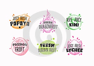 Juicy Fresh Ecxotic Fruits Badges, Labels or Logo Templates Collection. Hand Drawn Papaya, Lychee, Pitaya, Kiwi and