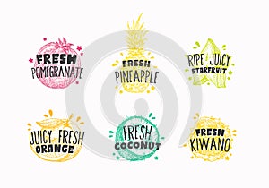 Juicy Fresh Ecxotic Fruits Badges, Labels or Logo Templates Collection. Hand Drawn Pomegranate, Kiwano, Orange