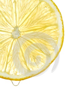 Juicy fresh lemon slice