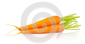 Juicy fresh organic carrot