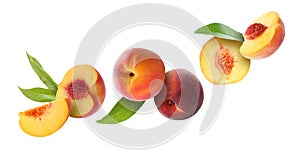 Juicy fresh peaches with green leaves falling on white background