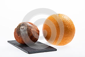 Juicy fresh and ripe orange next to one rotting orange fruit isolated on white