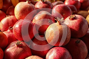 Juicy fresh ripe pomegranates. Wholesale market