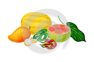 Juicy Fruits with Melon and Mango with Palm Leaves Hawaiian Vector Composition