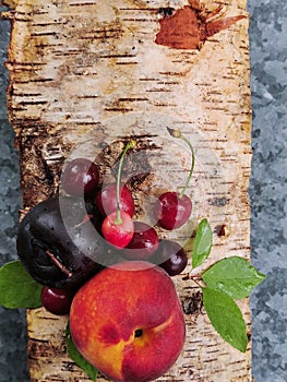 Juicy fruits: peach, cherry and plum on the bark of birch trees in a summer day. summer freshness