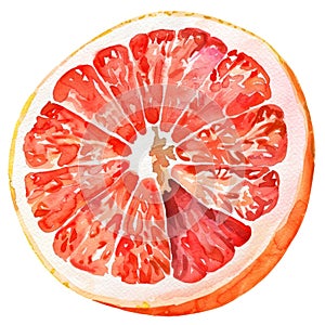 A juicy grapefruit half in watercolor, with a perfect balance of pink and red hues