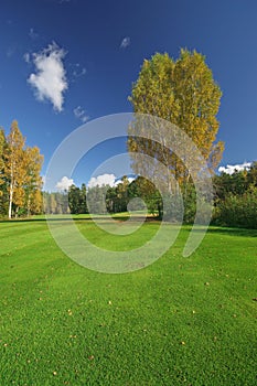 Juicy grass and autumn scenery